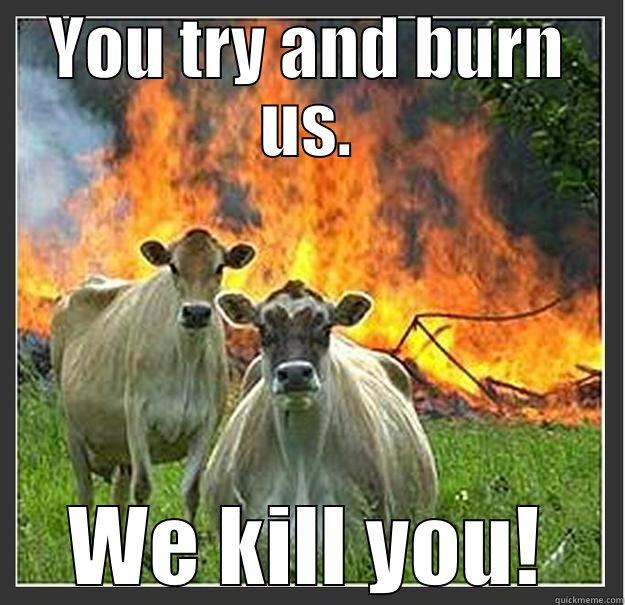 Awesome Cows - YOU TRY AND BURN US. WE KILL YOU! Evil cows