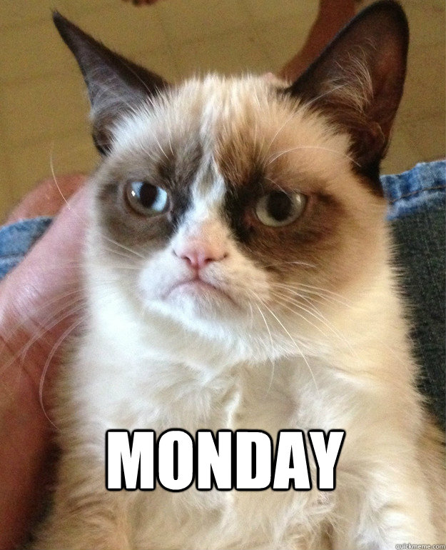  Monday  Grumpy Cat