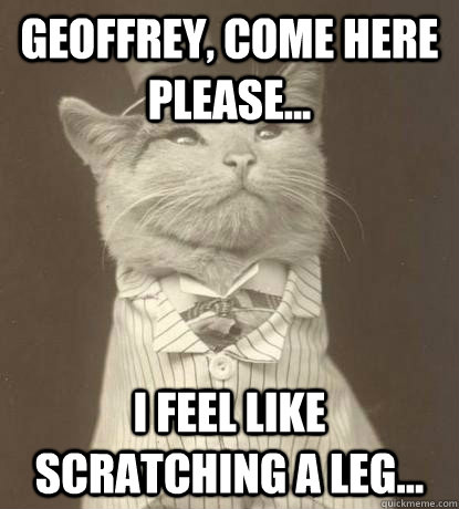 Geoffrey, come here please... I feel like scratching a leg...  Aristocat