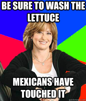 Be sure to wash the lettuce  Mexicans have touched it  Sheltering Suburban Mom