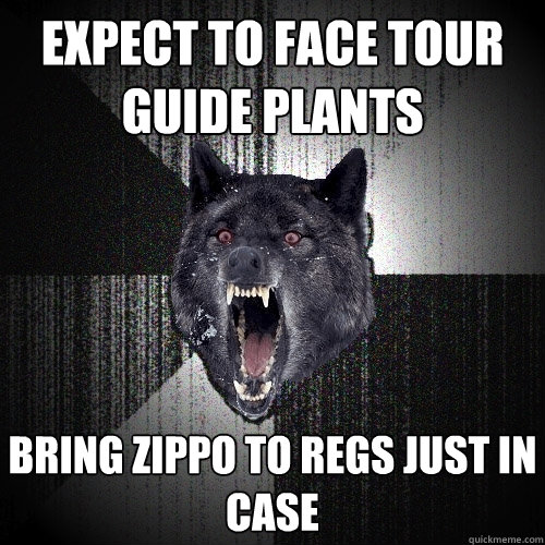 EXPECT TO FACE TOUR GUIDE PLANTS BRING ZIPPO TO REGS JUST IN CASE  Insanity Wolf