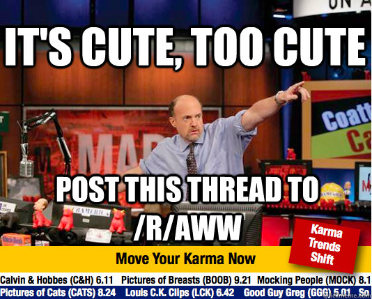 it's cute, too cute Post this thread to /r/aww  - it's cute, too cute Post this thread to /r/aww   Mad Karma with Jim Cramer