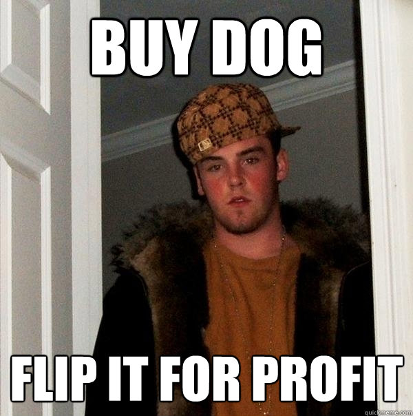 buy dog flip it for profit  Scumbag Steve