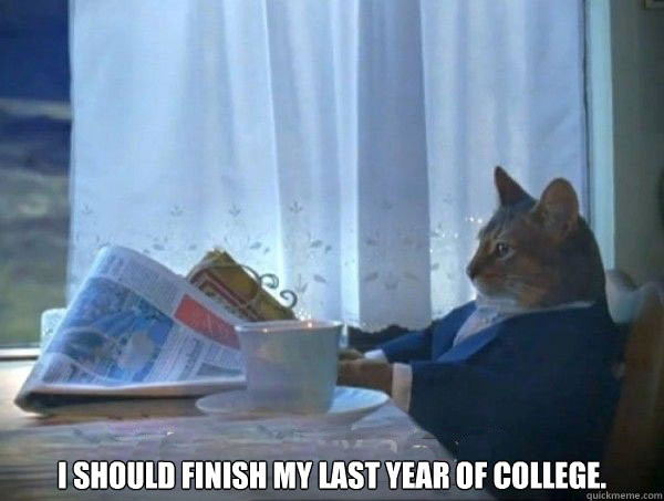  I should finish my last year of college. -  I should finish my last year of college.  morning realization newspaper cat meme