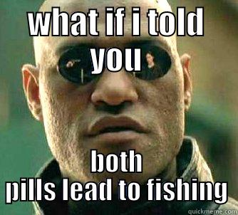 WHAT IF I TOLD YOU BOTH PILLS LEAD TO FISHING Matrix Morpheus