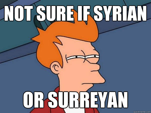 not sure if syrian or surreyan  Futurama Fry