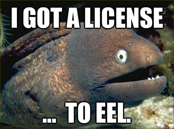 I got a license ...  to eel.  Bad Joke Eel