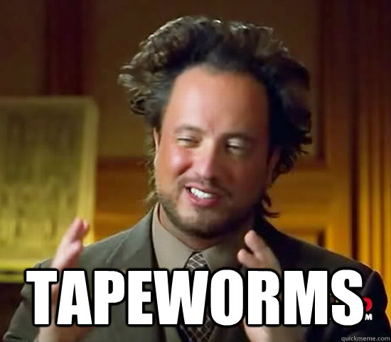  Tapeworms  Ancient Aliens