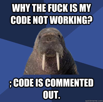 WHY THE FUCK IS MY CODE NOT WORKING? ; CODE IS COMMENTED OUT.  Web Developer Walrus