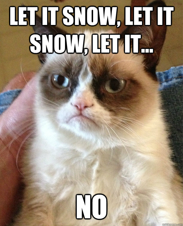 Let it snow, let it snow, let it... No  Grumpy Cat