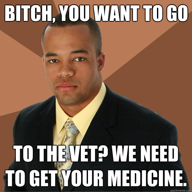 Bitch, you want to go to the vet? We need to get your medicine.  Successful Black Man