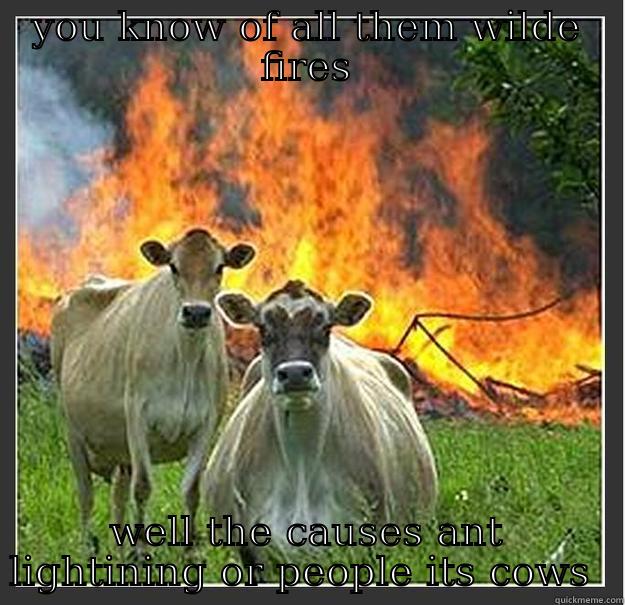 YOU KNOW OF ALL THEM WILDE FIRES WELL THE CAUSES ANT LIGHTINING OR PEOPLE ITS COWS  Evil cows