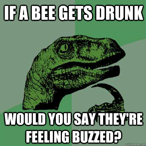 if a bee gets drunk would you say they're feeling buzzed?  Philosoraptor