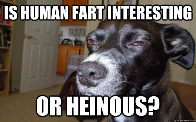 Is human fart interesting or heinous?  Skeptical Mutt