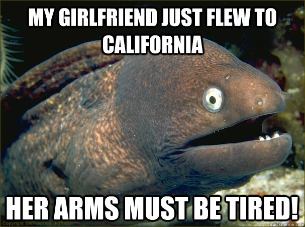 My girlfriend just flew to California Her arms must be tired!  Bad Joke Eel