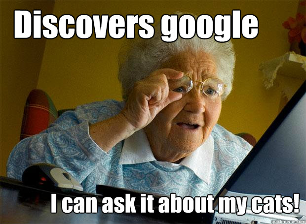 Discovers google I can ask it about my cats!  Grandma finds the Internet