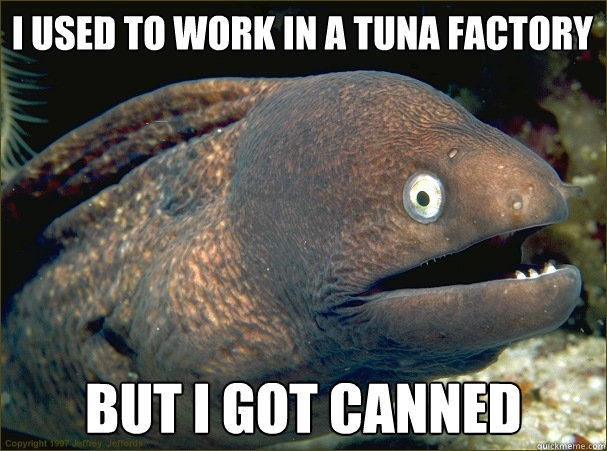 i used to work in a tuna factory but i got canned  