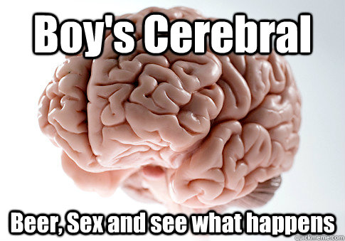 Boy's Cerebral Beer, Sex and see what happens   Scumbag Brain