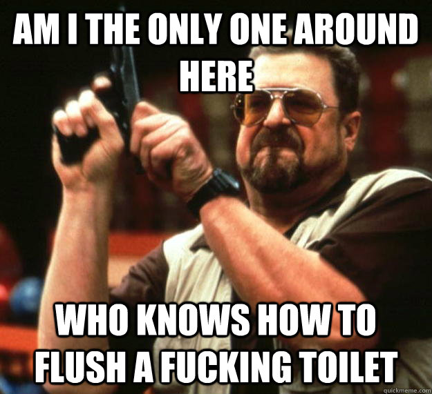 am I the only one around here Who knows how to flush a fucking toilet  Angry Walter