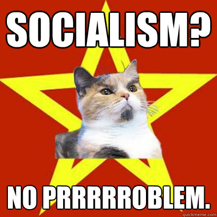 socialism? No prrrrroblem.  Lenin Cat