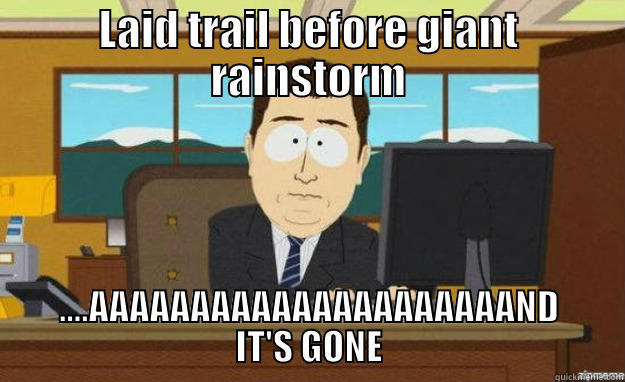 LAID TRAIL BEFORE GIANT RAINSTORM ....AAAAAAAAAAAAAAAAAAAAAND IT'S GONE aaaand its gone