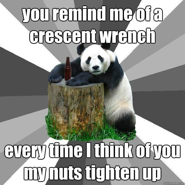 you remind me of a crescent wrench every time I think of you my nuts tighten up  Pickup-Line Panda