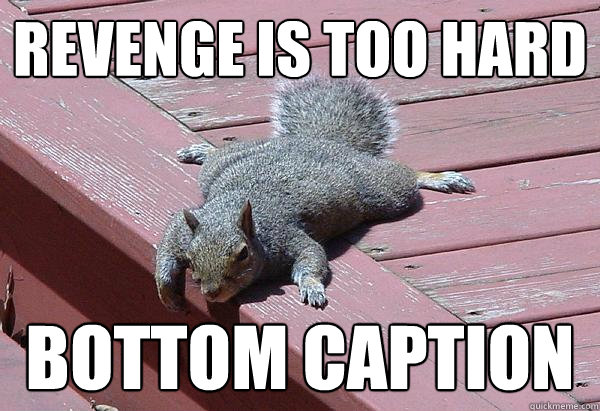 Revenge is too hard Bottom caption - Revenge is too hard Bottom caption  Lazy Squirrel