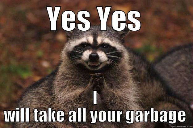 Raccoon plots to steal garbage - YES YES I WILL TAKE ALL YOUR GARBAGE Evil Plotting Raccoon