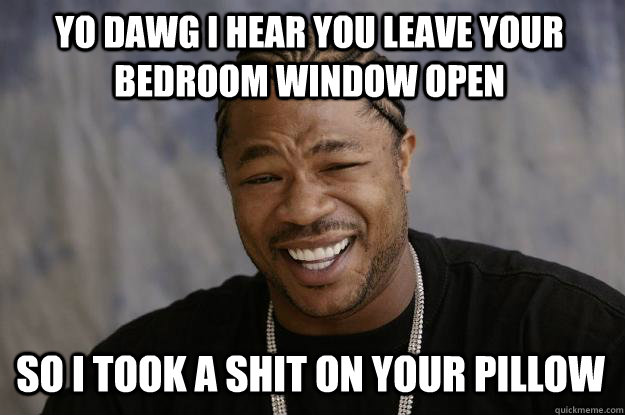 YO DAWG I hear you leave your bedroom window open So i took a shit on your pillow - YO DAWG I hear you leave your bedroom window open So i took a shit on your pillow  Xzibit meme