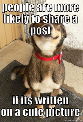 smile if you agree - PEOPLE ARE MORE LIKELY TO SHARE A POST IF ITS WRITTEN ON A CUTE PICTURE Good Dog Greg