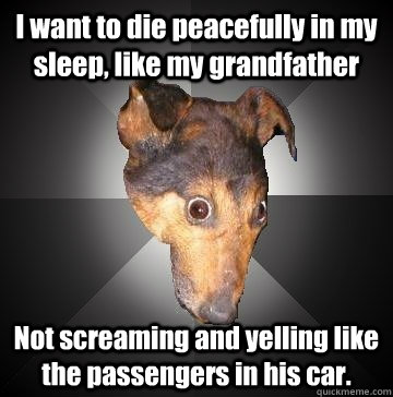 I want to die peacefully in my sleep, like my grandfather Not screaming and yelling like the passengers in his car.  Depression Dog