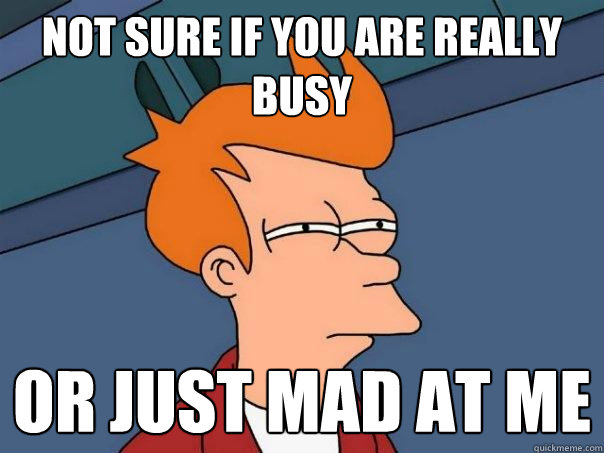 Not sure if you are really busy Or just mad at me  Futurama Fry