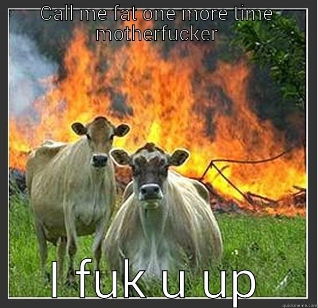 Fat cows - CALL ME FAT ONE MORE TIME MOTHERFUCKER I FUK U UP Evil cows