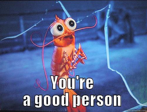 SHrimp Good Person -  YOU'RE A GOOD PERSON Misc