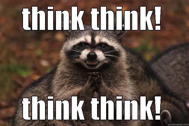 THINK THINK! THINK THINK! Evil Plotting Raccoon