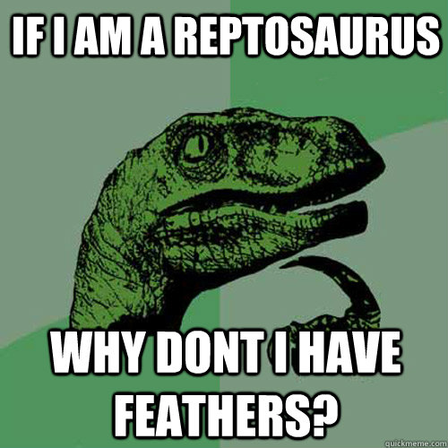 If I am a reptosaurus Why dont i have feathers?  Philosoraptor