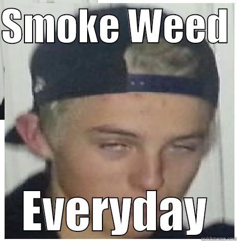 smoke weed - SMOKE WEED  EVERYDAY Misc