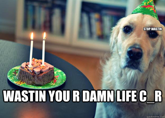 stop wastin wastin you r damn life c_r  Sad Birthday Dog