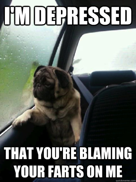 I'm depressed That you're blaming your farts on me  Introspective Pug