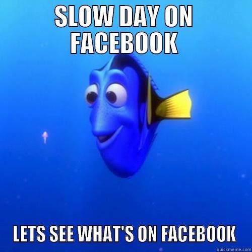 Slow day - SLOW DAY ON FACEBOOK LETS SEE WHAT'S ON FACEBOOK dory