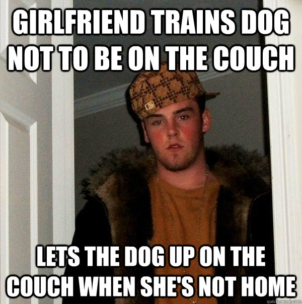 Girlfriend trains dog not to be on the couch lets the dog up on the couch when she's not home  Scumbag Steve