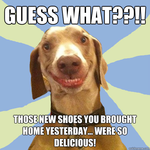 Guess what??!! Those new shoes you brought home yesterday... were so delicious!  Disgusting Doggy