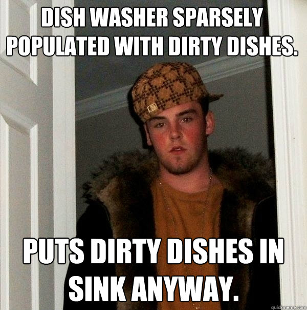 Dish Washer sparsely populated with dirty dishes.  Puts dirty dishes in sink anyway. - Dish Washer sparsely populated with dirty dishes.  Puts dirty dishes in sink anyway.  Scumbag Steve