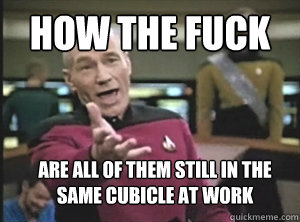 how the fuck are all of them still in the same cubicle at work - how the fuck are all of them still in the same cubicle at work  Annoyed Picard