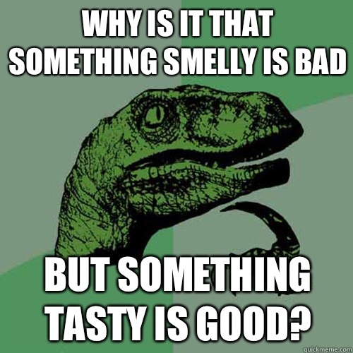 Why is it that something smelly is bad But something tasty is good?  Philosoraptor