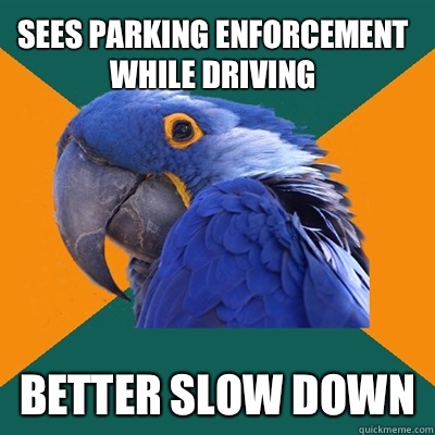 Sees parking enforcement while driving Better slow down  Paranoid Parrot