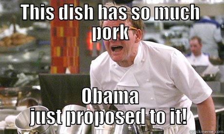 THIS DISH HAS SO MUCH PORK OBAMA JUST PROPOSED TO IT!  Misc