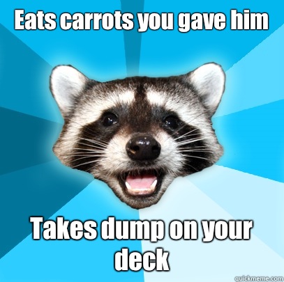 Eats carrots you gave him Takes dump on your deck - Eats carrots you gave him Takes dump on your deck  Lame Pun Coon