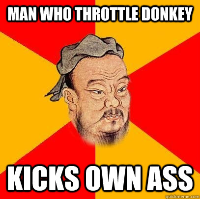 Man who throttle donkey Kicks own ass - Man who throttle donkey Kicks own ass  Confucius says