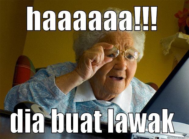 HAAAAAA!!! DIA BUAT LAWAK Grandma finds the Internet